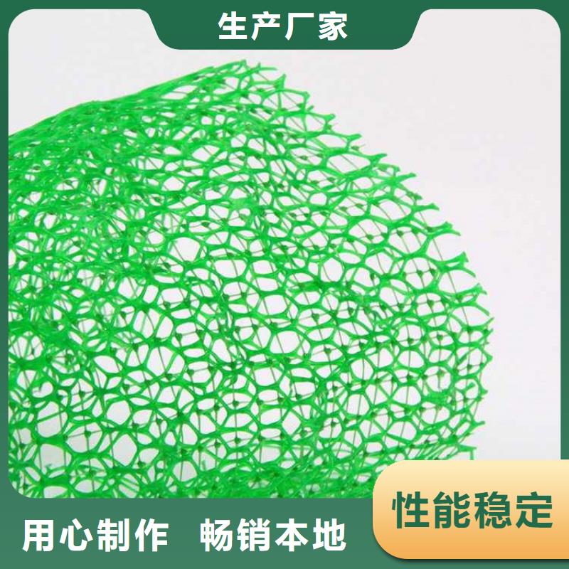 三维土工网垫-EM4三维固土网垫