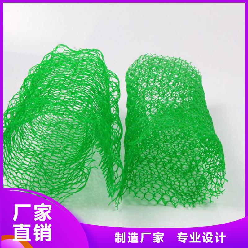 EM4三维护坡植草网垫