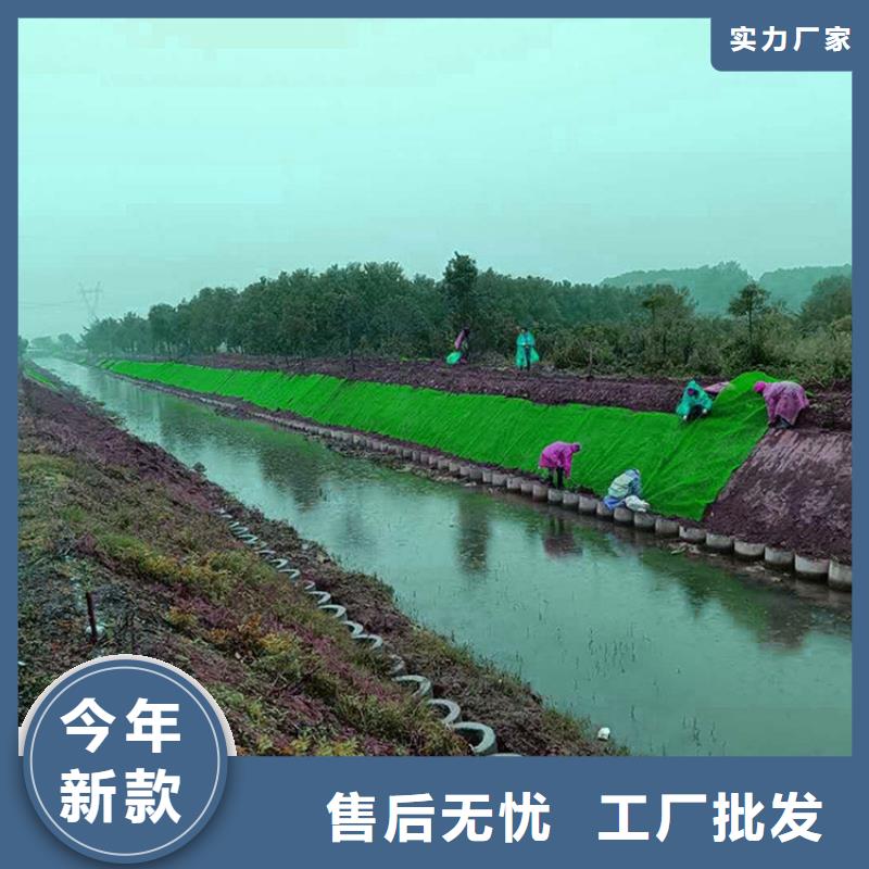 三维植被网-EM5三维护坡植草网垫