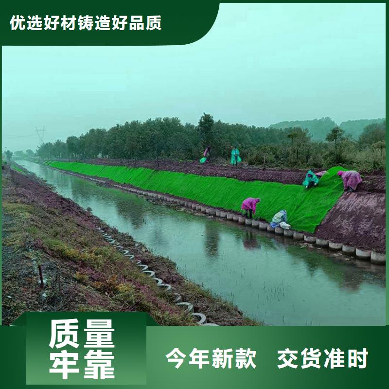 三维植被网-4层5层三维植被网