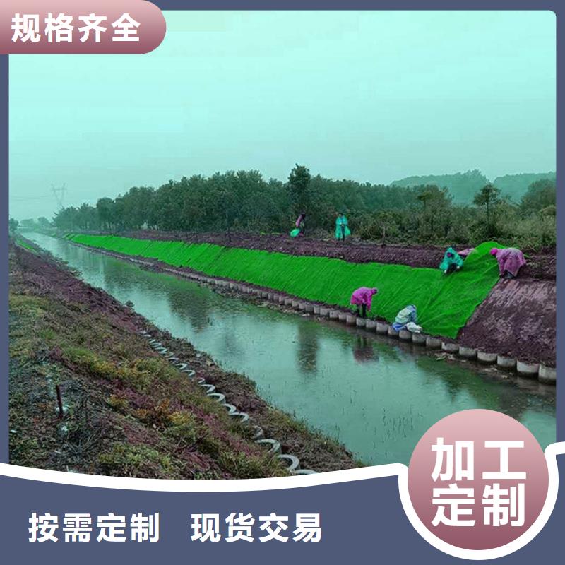 三维植被网-EM3三维植被网
