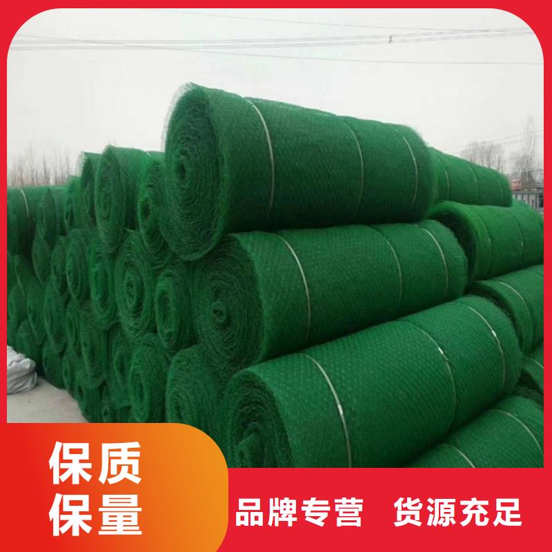 三维植被网护坡EM2