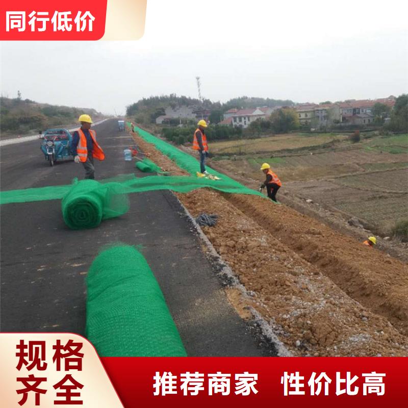 三维固土网垫来厂考察