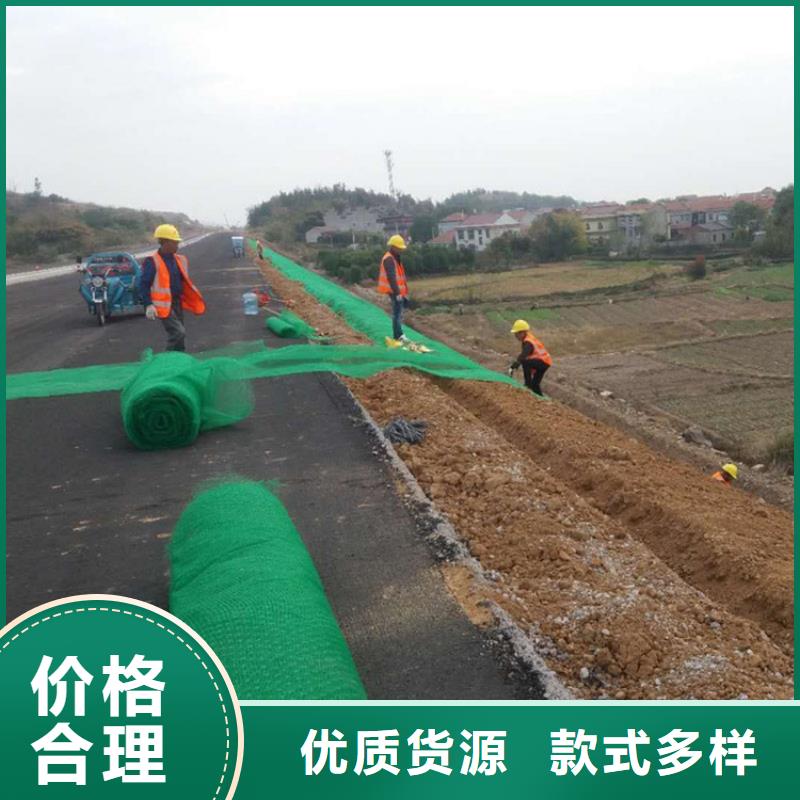 三维植被网-EM3三维加筋网垫
