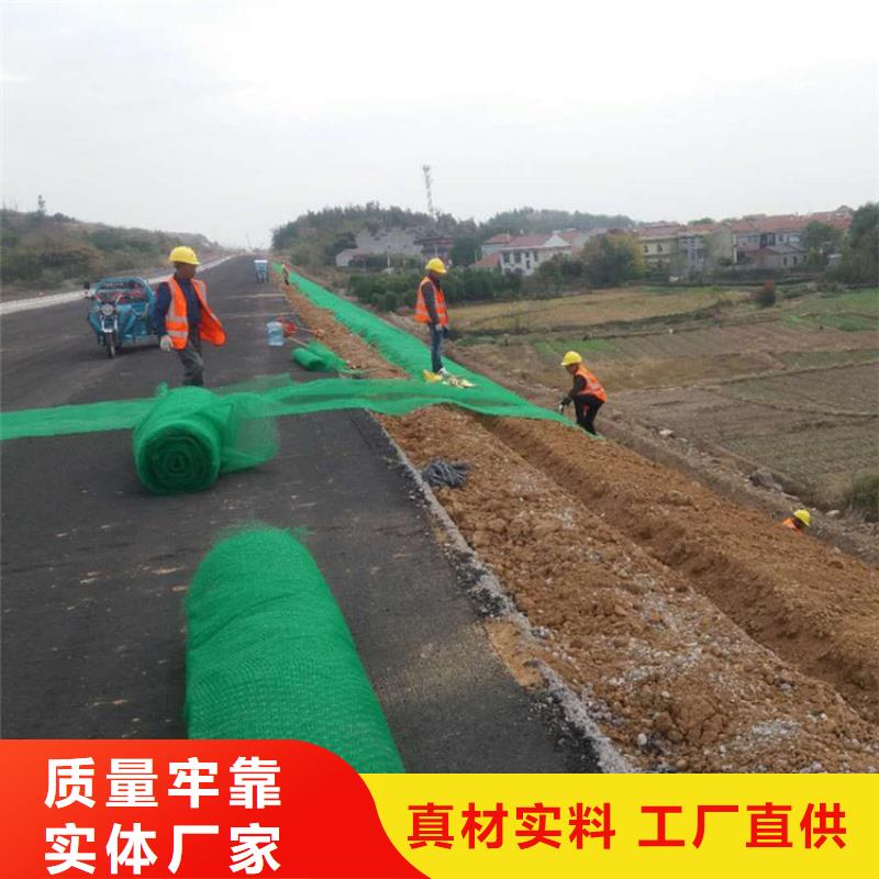 三维固土网垫EM3三维固土网垫