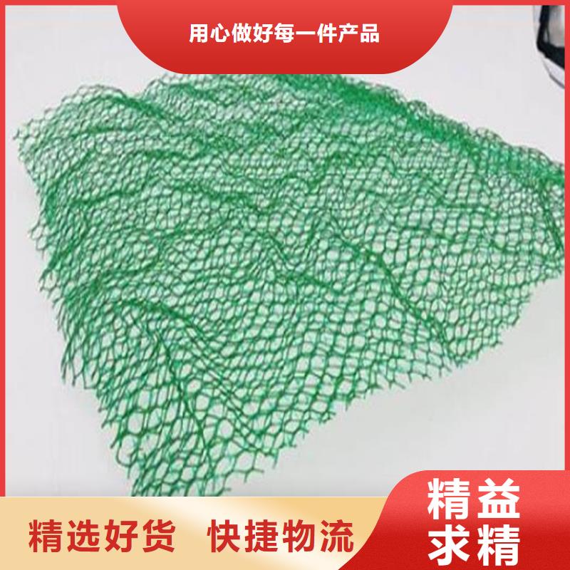 三维植被网-EM3三维加筋网垫