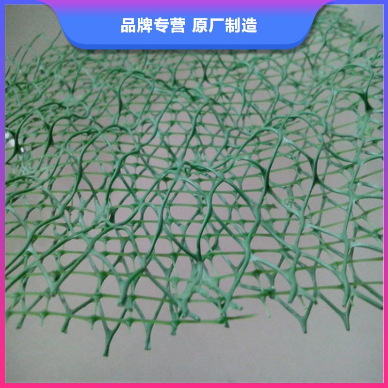 EM3三维固土网垫厂家