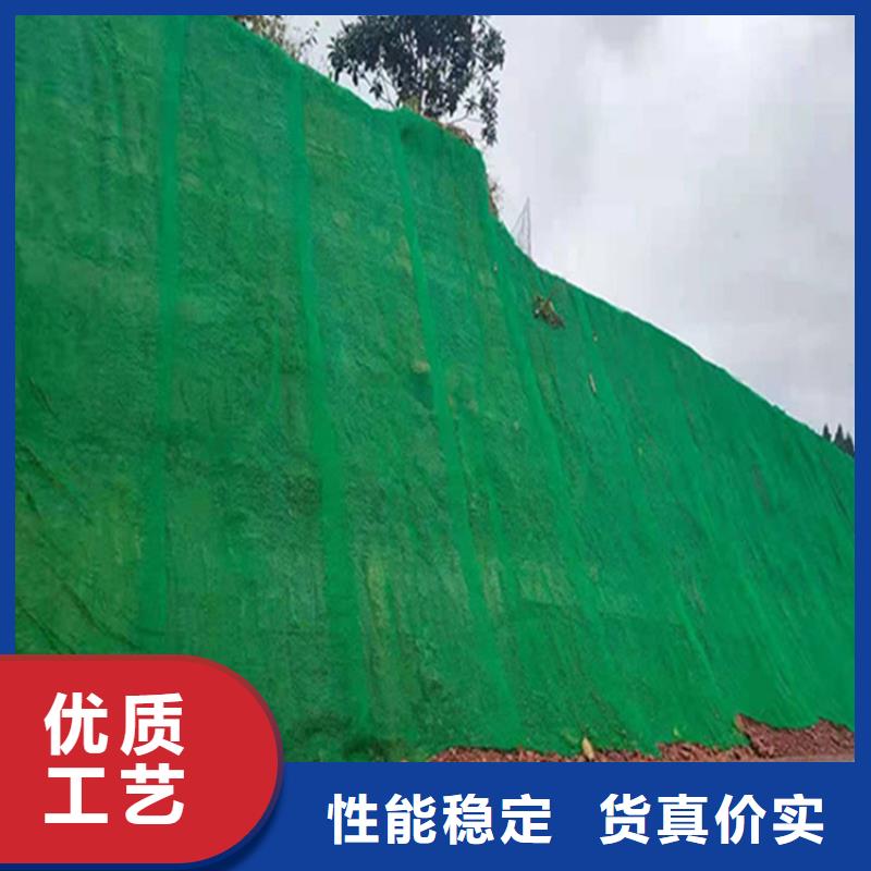 EM3三维加筋网垫
