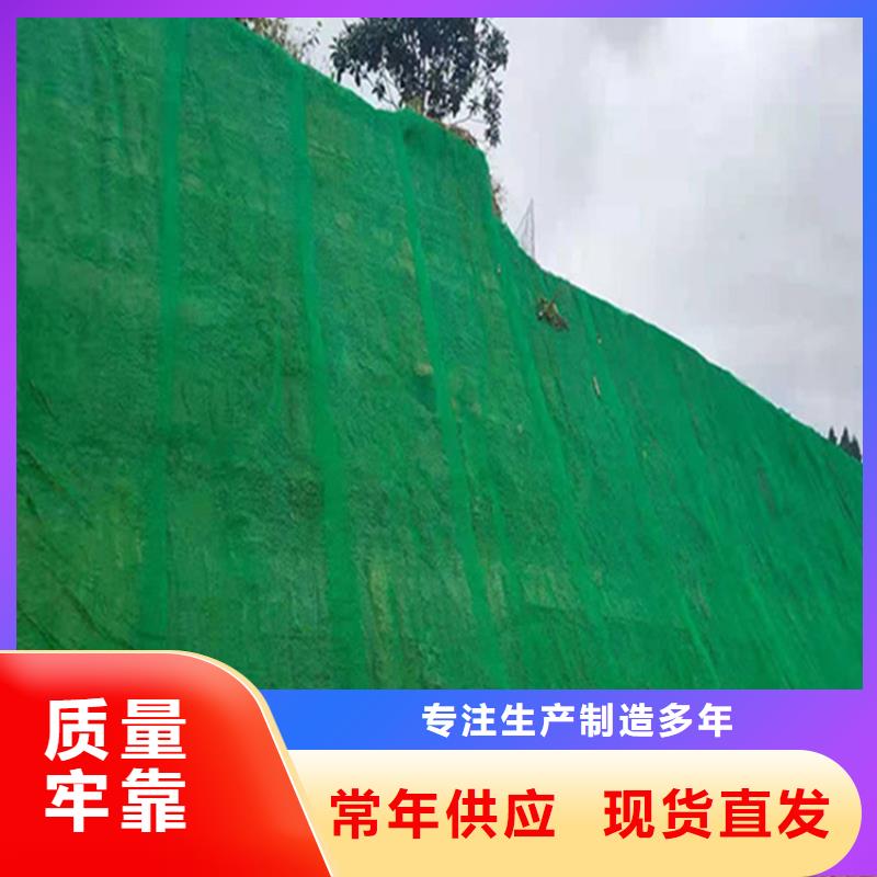 三维固土网垫EM3三维植被网