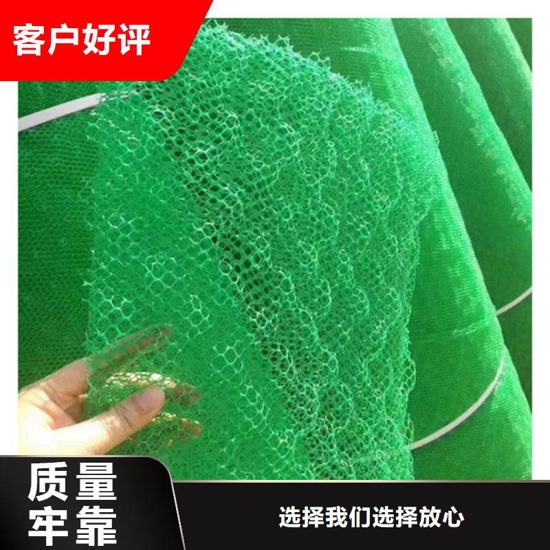 三维植被网-【防裂贴】市场报价