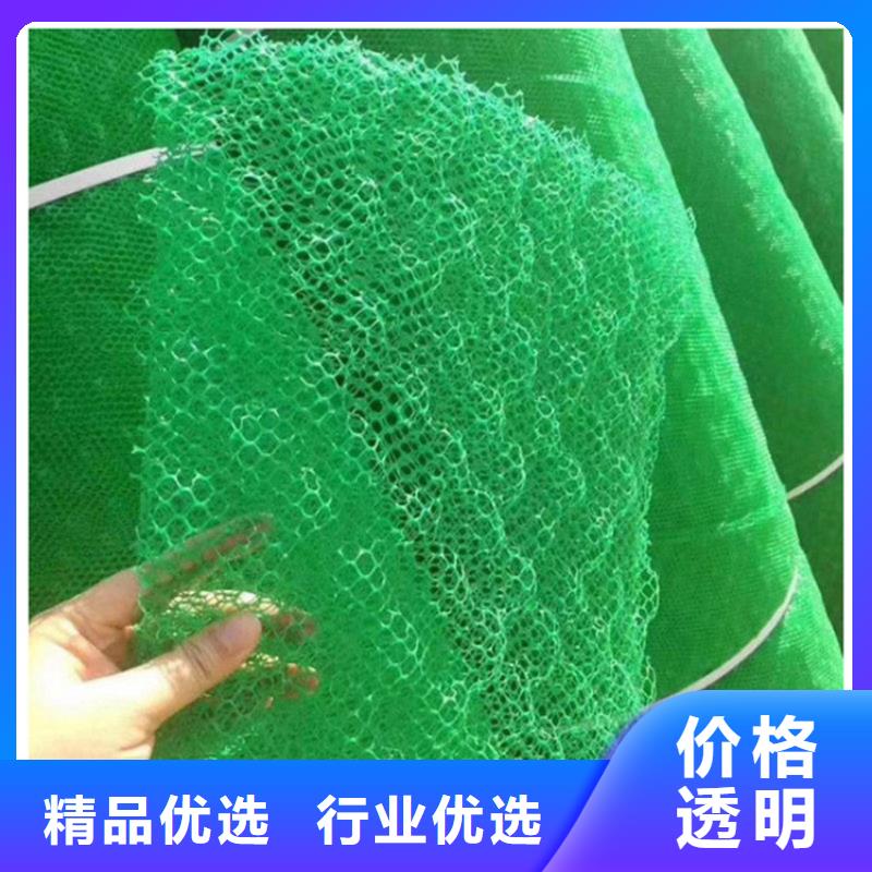 三维土工网垫EM2草皮