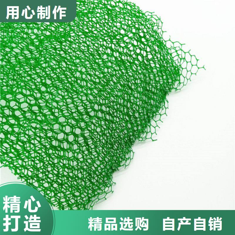三维植被网-EM3三维土工网垫