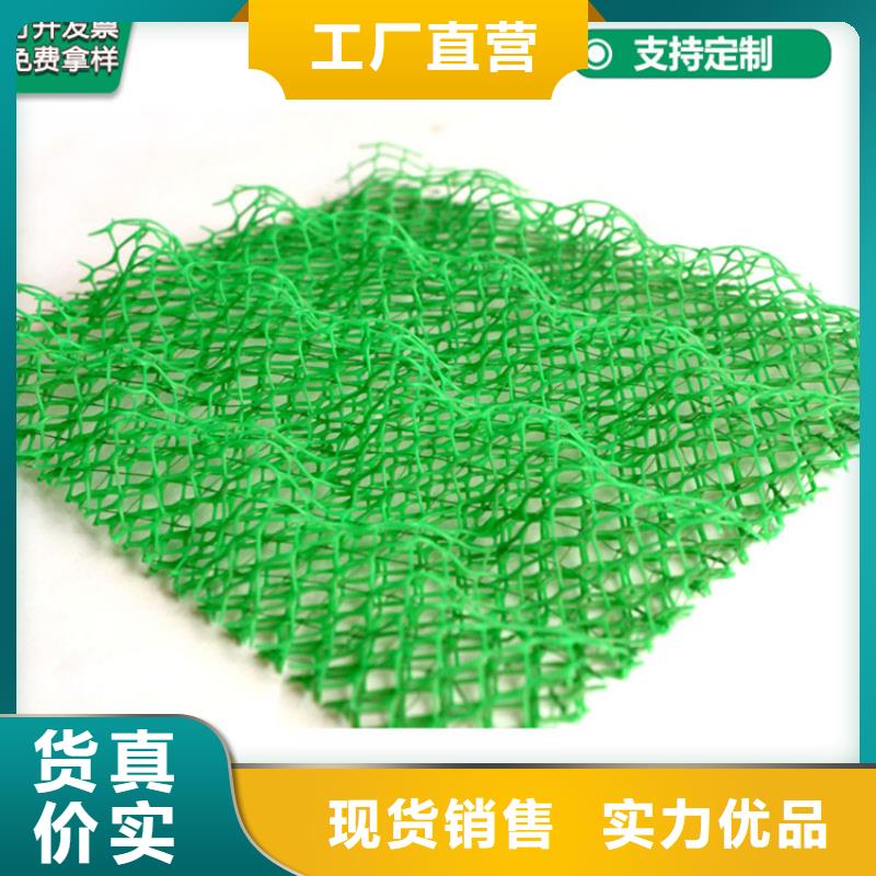 三维固土网垫购买