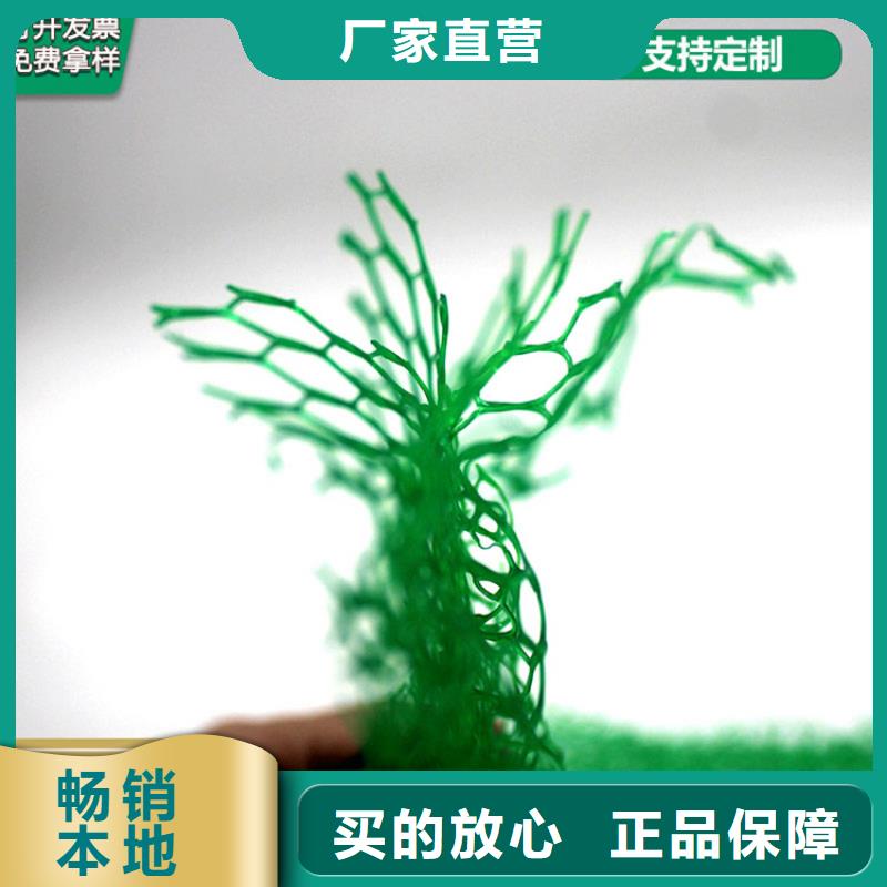 EM5三维加筋网垫