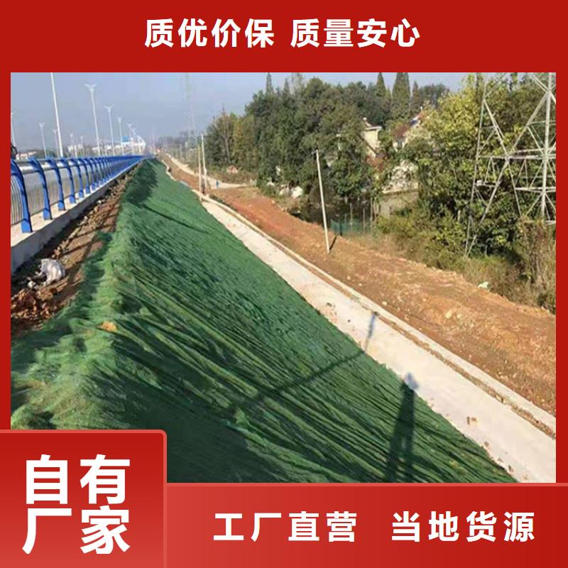 三维植被网-EM2三维植被网