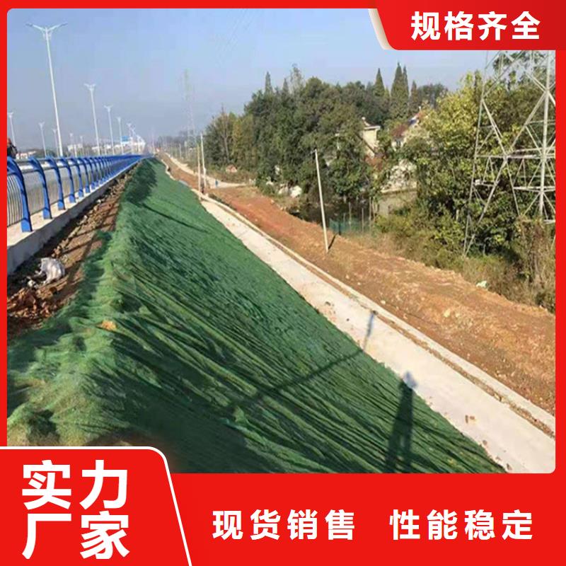 三维土工网垫EM5EM3