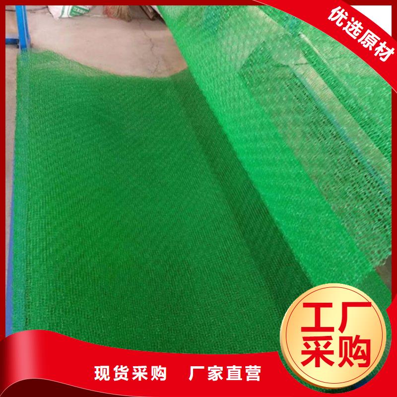 三维植被网-膨润土防水毯供货及时