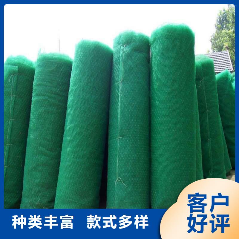 三维植被网动态
