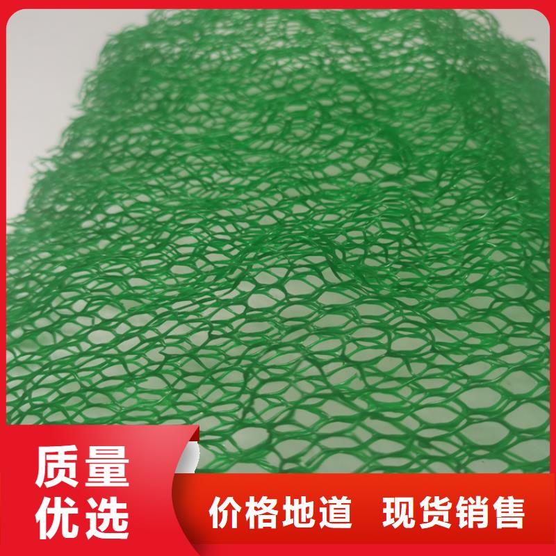 三维植被网通风降噪丝网现货充足