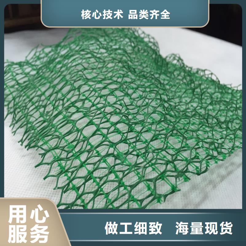 三维土工网垫图片参数
