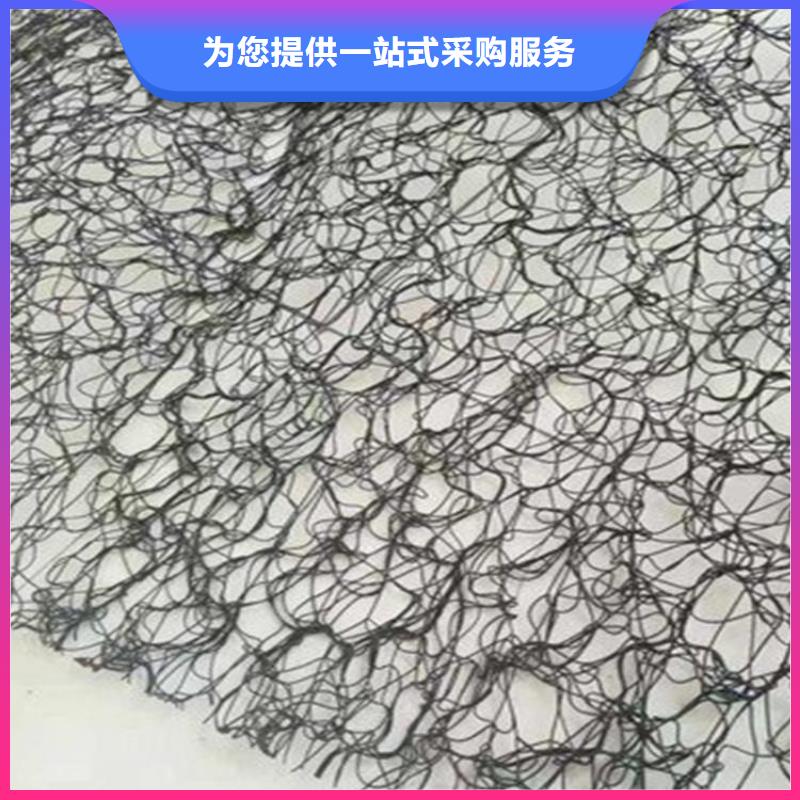 通风降噪丝网_玻璃纤维土工格栅诚信可靠