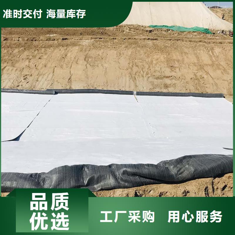 膨润土防水毯-钢塑土工格栅拒绝中间商