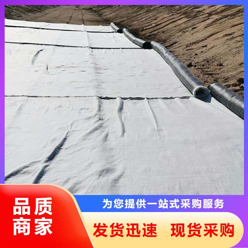 膨润土防水毯-钢塑土工格栅拒绝中间商