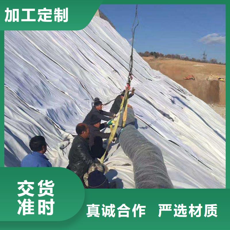 膨润土防水毯-钢塑土工格栅拒绝中间商