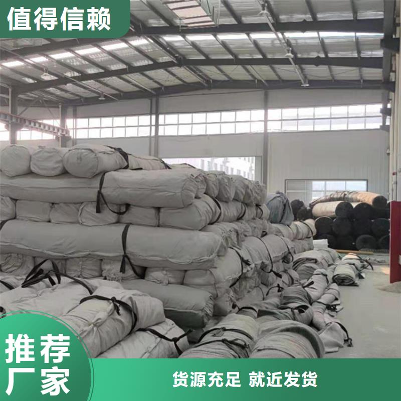 【膨润土防水毯土工膜畅销当地】