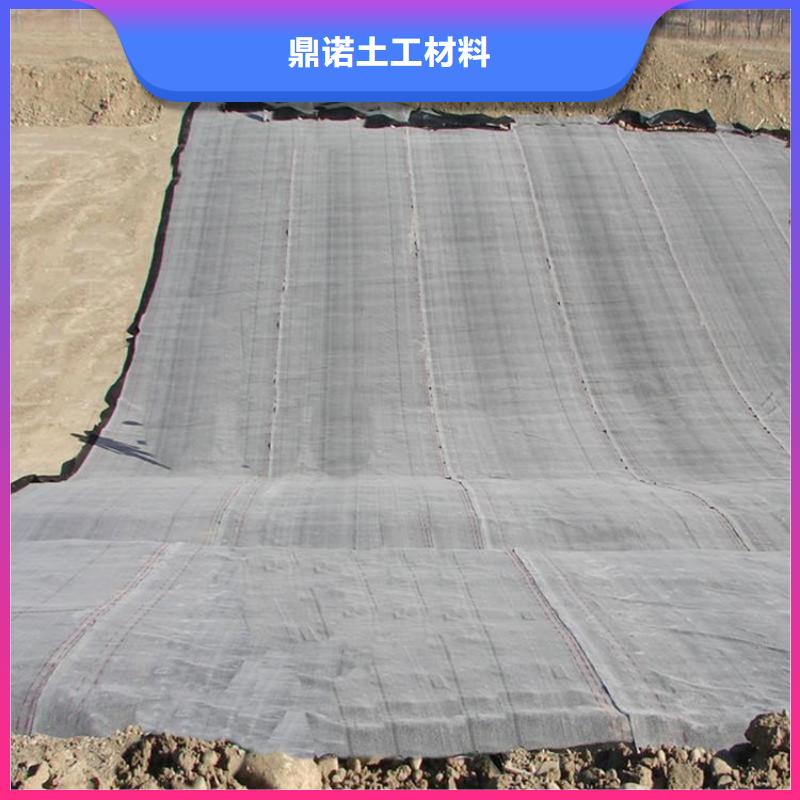 膨润土防水毯土工膜源头厂家量大价优