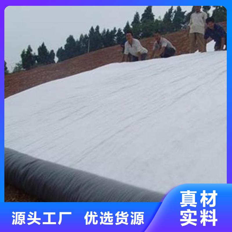 膨润土防水毯-钢塑土工格栅拒绝中间商