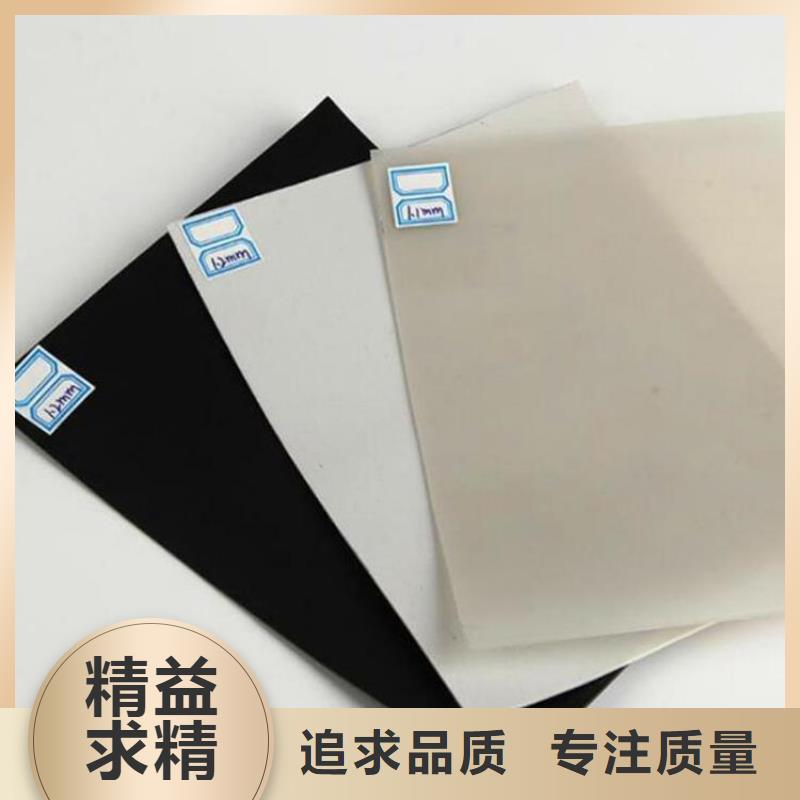 防水板【土工膜】匠心打造