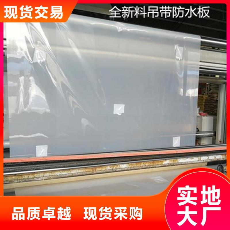 防水板【双向塑料土工格栅】信誉有保证