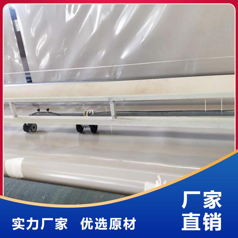 防水板【土工膜】匠心打造