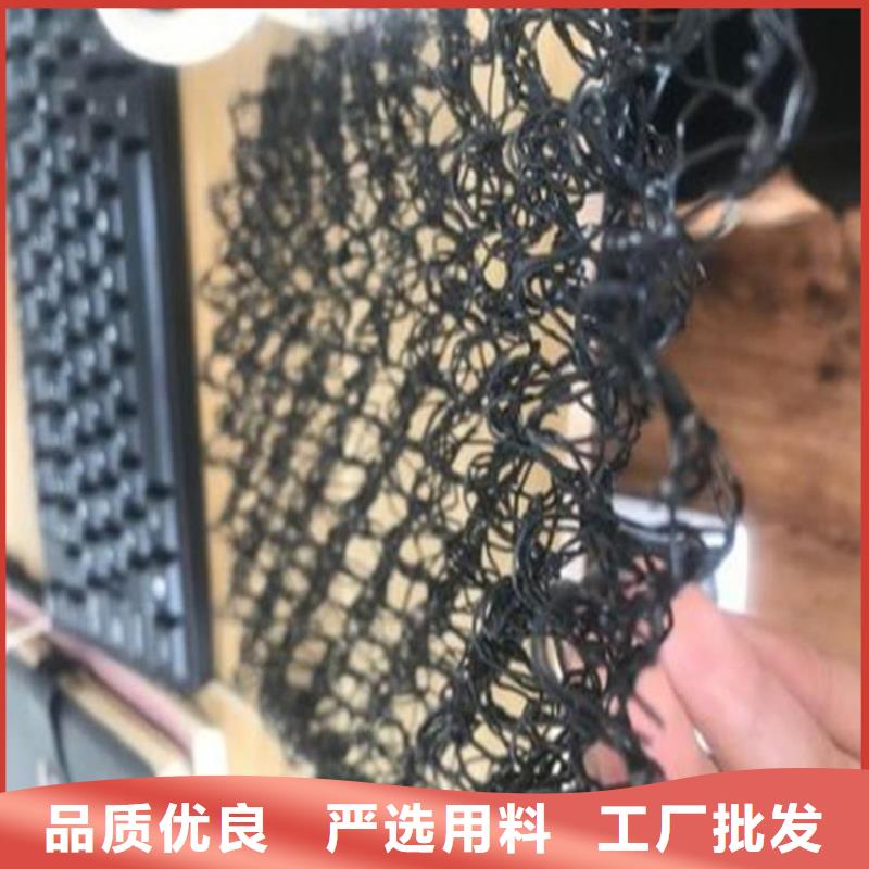 水土保护毯玻纤格栅讲信誉保质量