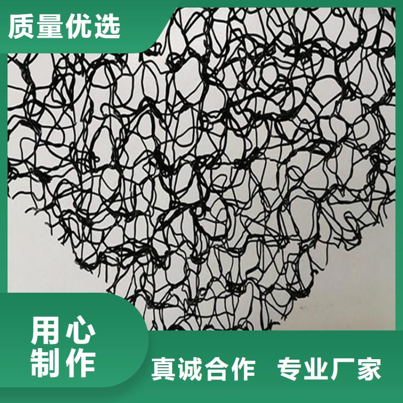 水土保护毯玻纤格栅讲信誉保质量