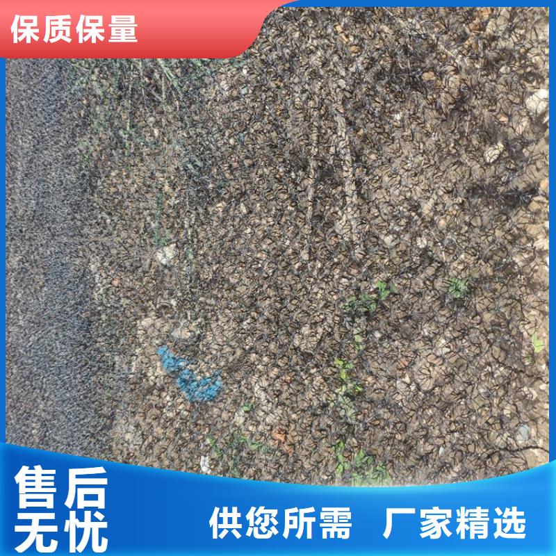 水土保护毯土工膜厂家直发
