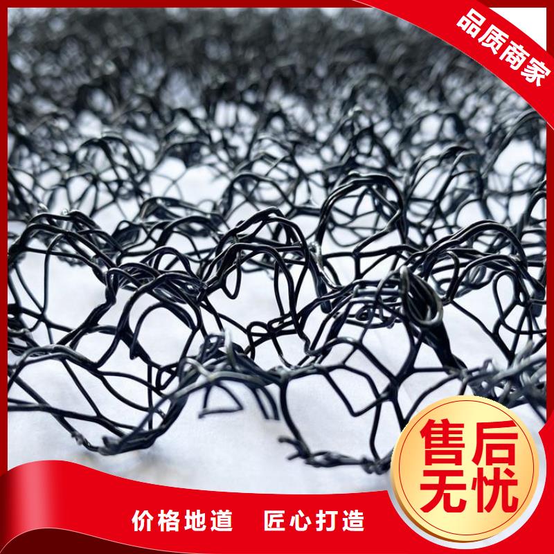 水土保护毯-土工格栅专注细节使用放心