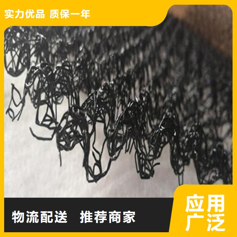 水土保护毯-土工格栅专注细节使用放心