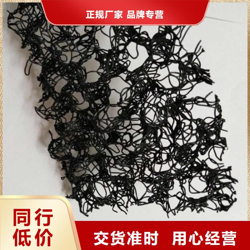水土保护毯-土工格栅专注细节使用放心