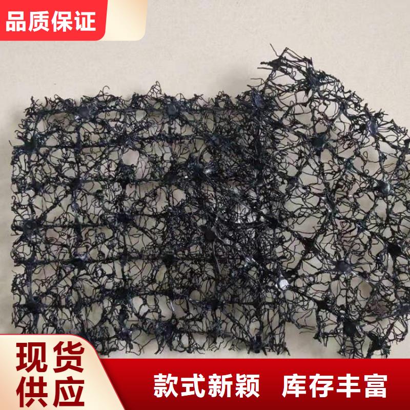 水土保护毯钢塑土工格栅精挑细选好货