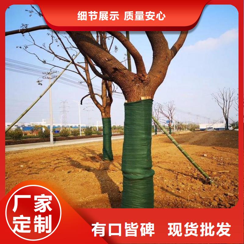 【裹树布】波纹管现货快速采购