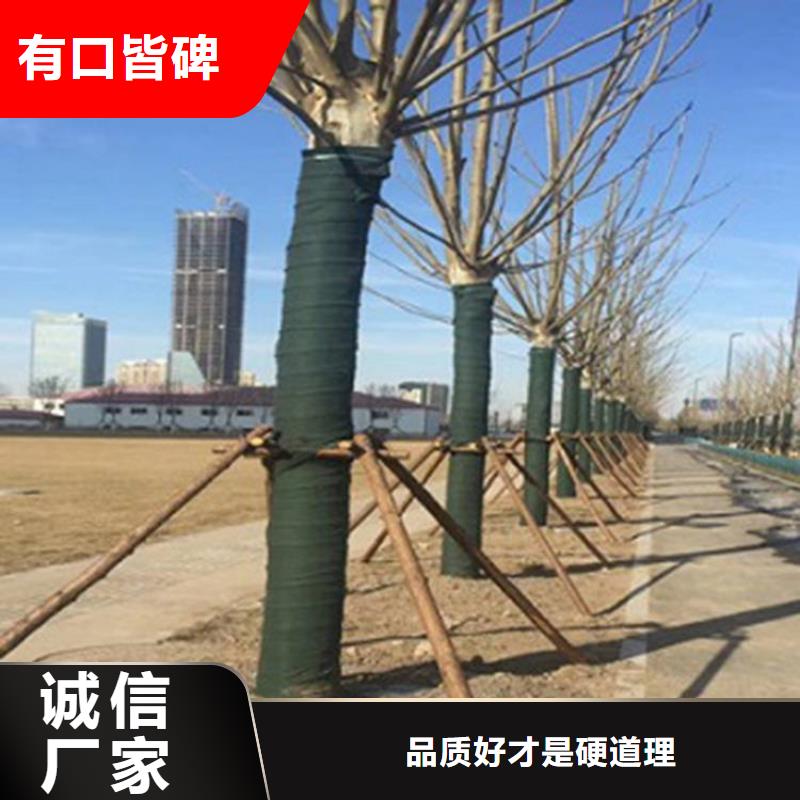【 裹树布,土工布性能稳定】 鼎诺土工材料(荆州市分公司)
