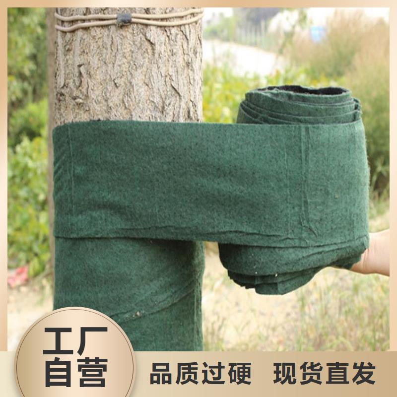 裹树布土工格栅出厂严格质检