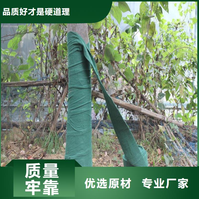 裹树布_钢塑土工格栅层层质检