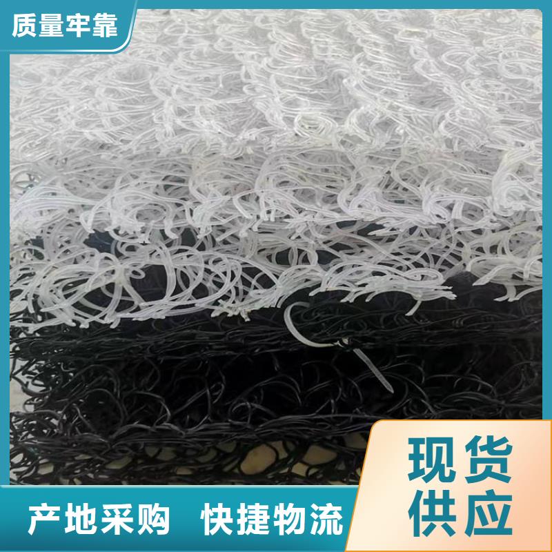 土工席垫双向塑料土工格栅现货充足