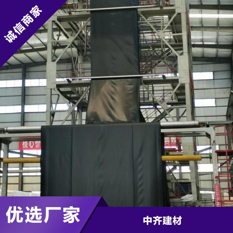 HDPE防渗土工膜公司经销