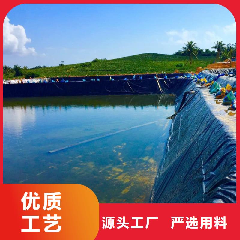 防渗膜-藕池防渗土工膜特点颜色