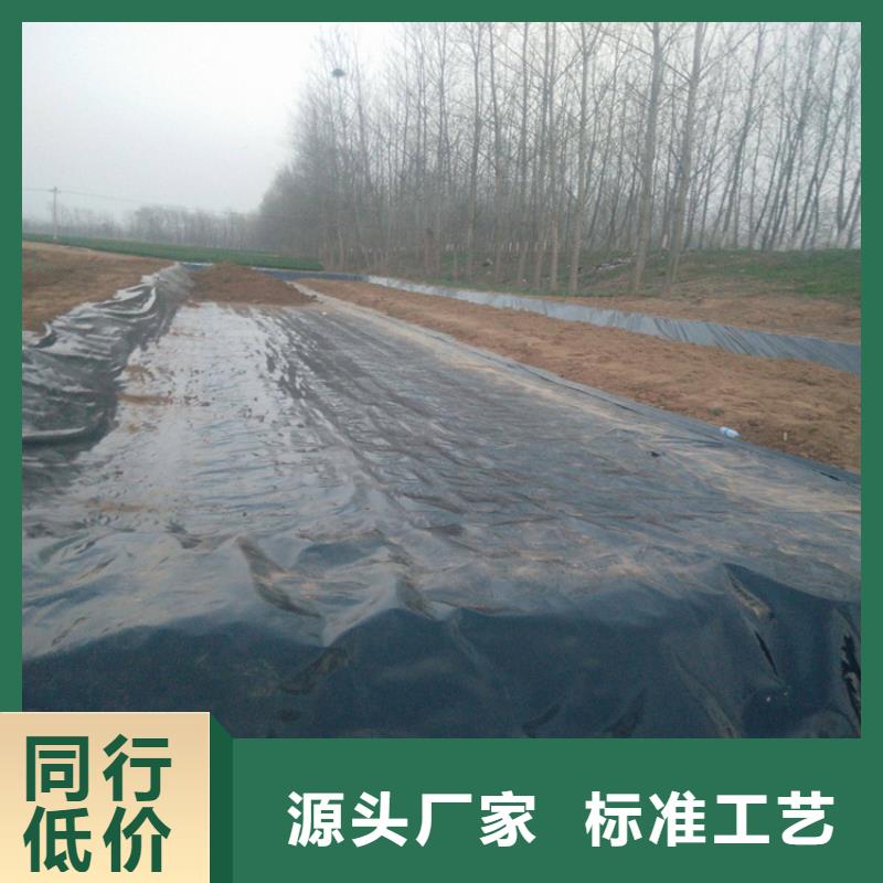 一布一膜复合土工膜