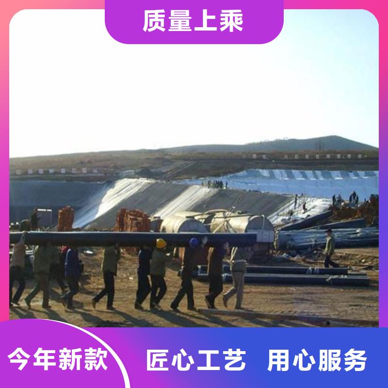 泥鳅防渗土工膜